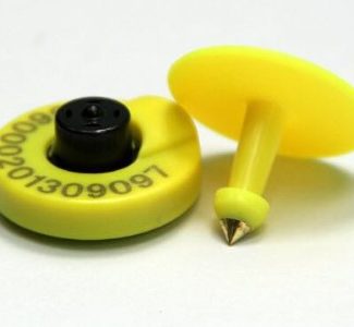 ear tag